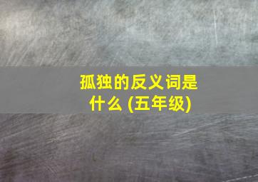 孤独的反义词是什么 (五年级)